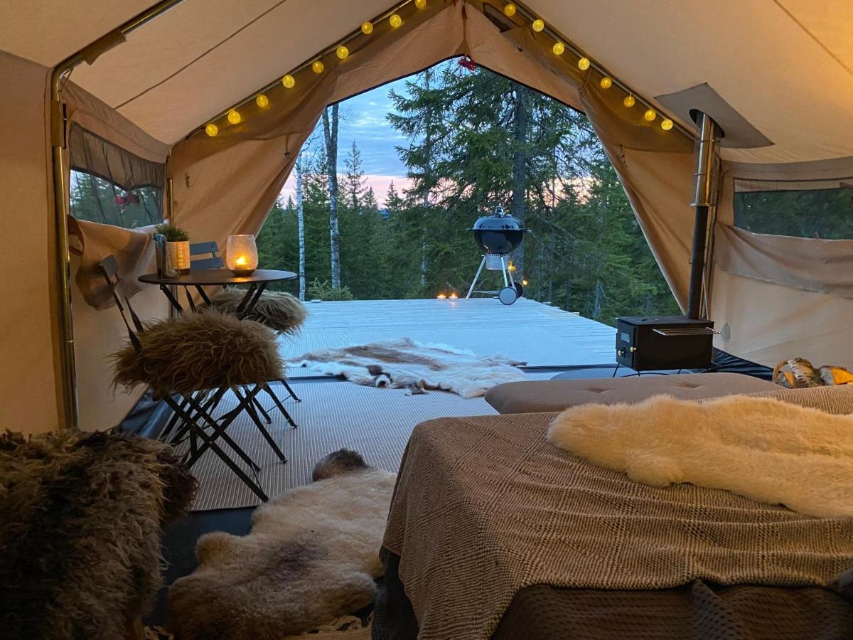 Glamping Tent With Amazing View In The Forest Torsby Ngoại thất bức ảnh