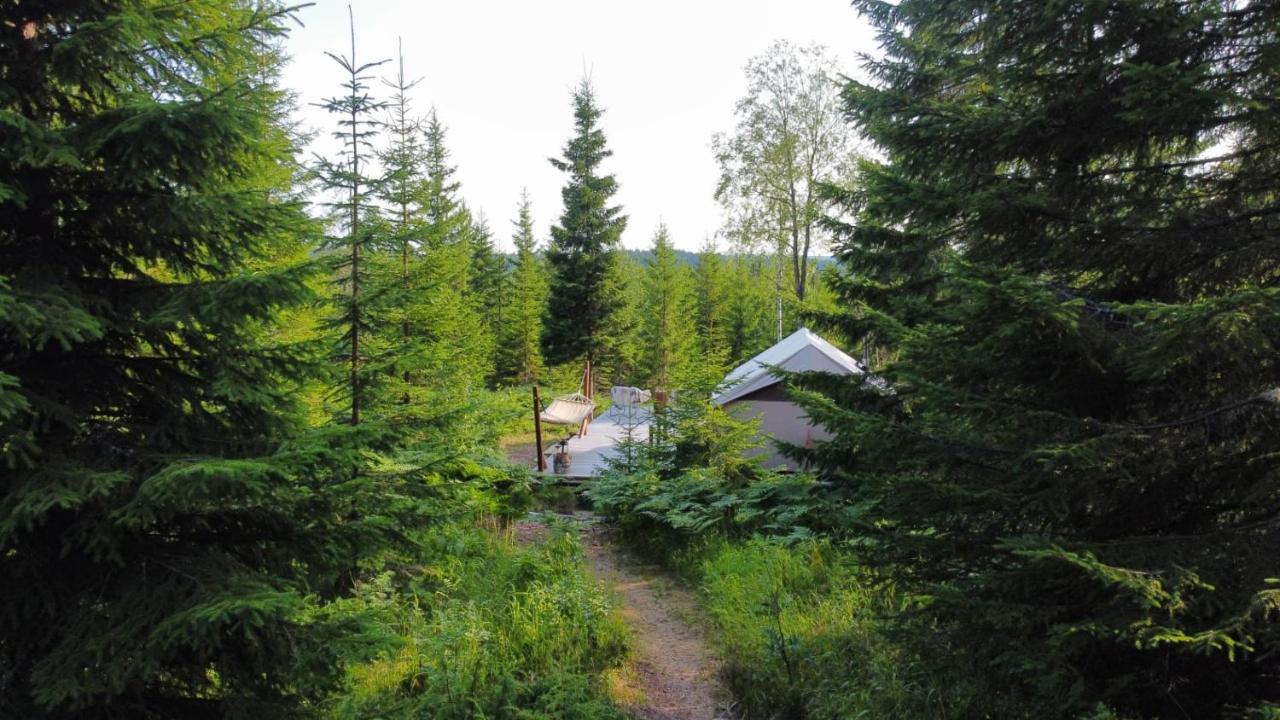 Glamping Tent With Amazing View In The Forest Torsby Ngoại thất bức ảnh