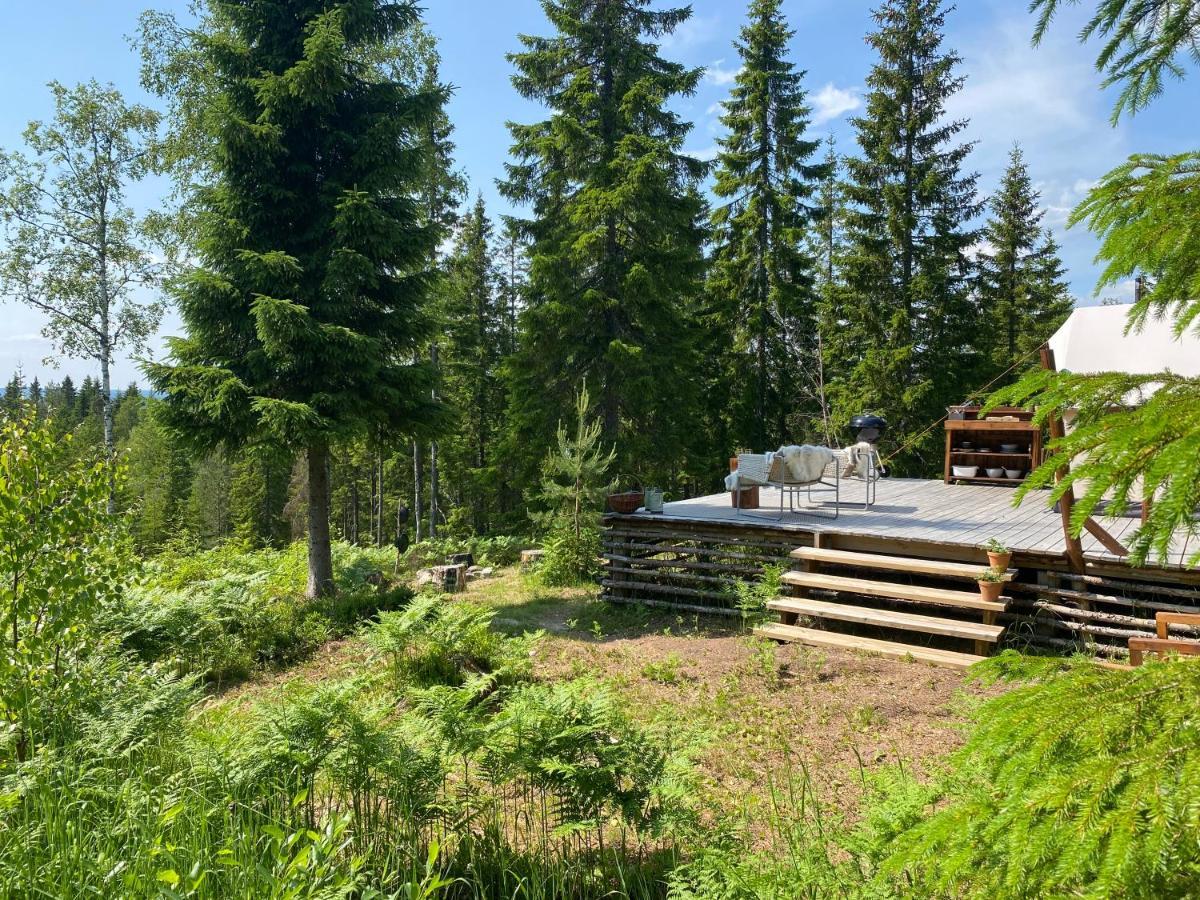 Glamping Tent With Amazing View In The Forest Torsby Ngoại thất bức ảnh