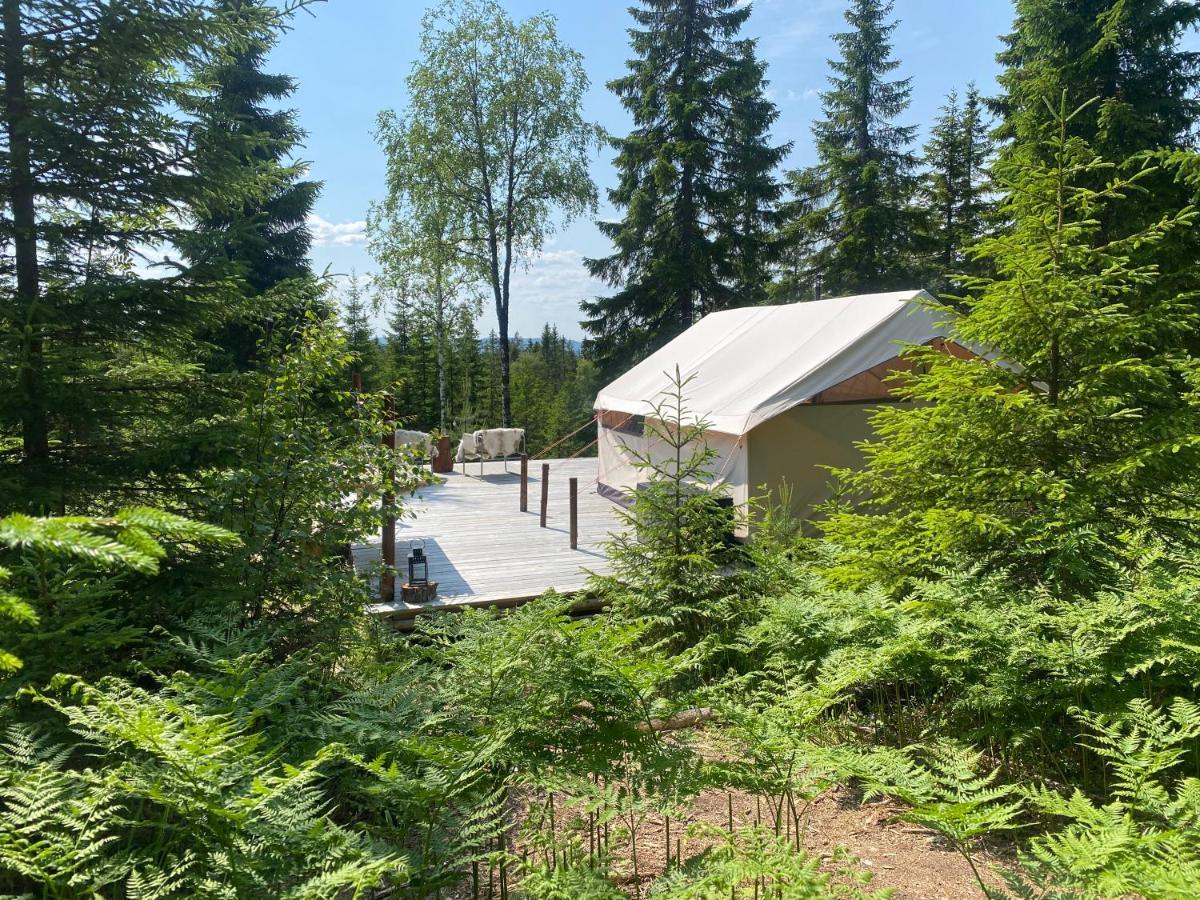Glamping Tent With Amazing View In The Forest Torsby Ngoại thất bức ảnh