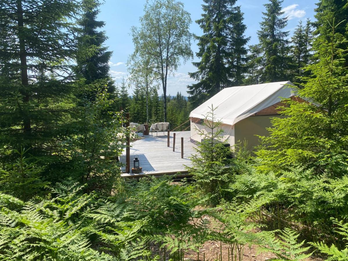 Glamping Tent With Amazing View In The Forest Torsby Ngoại thất bức ảnh